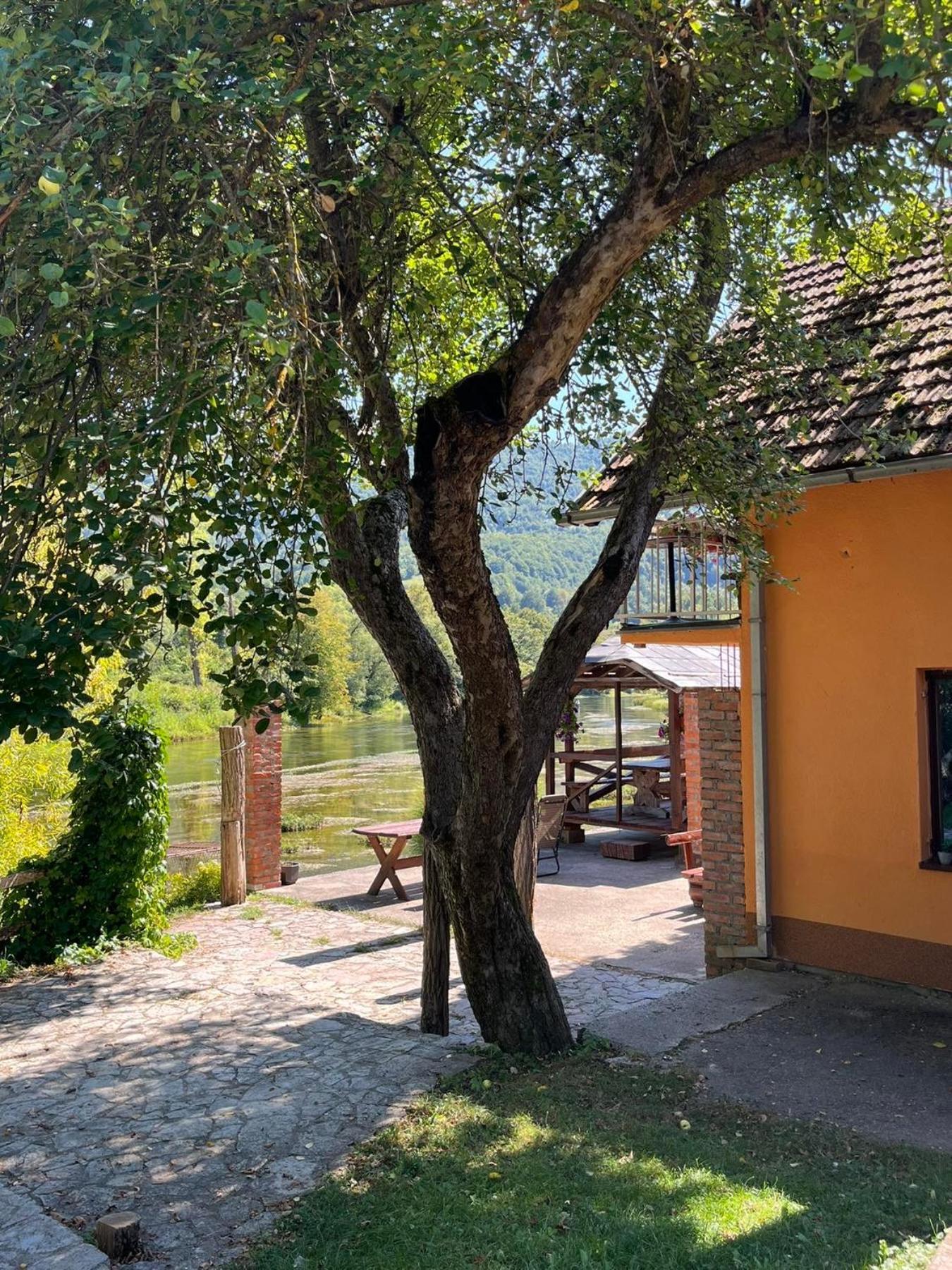 Bed And Breakfast Family Djukic Sipovo Exterior photo