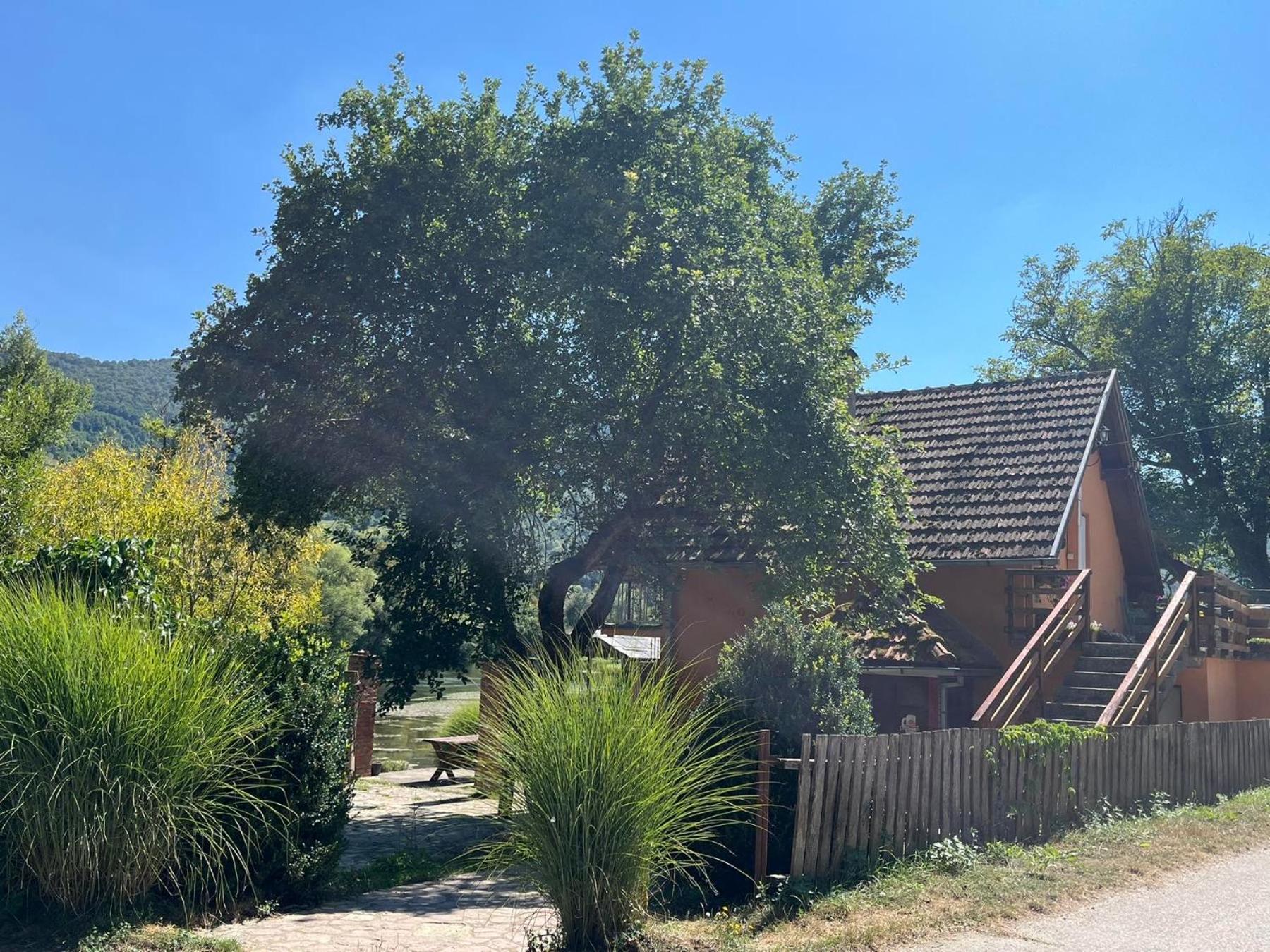Bed And Breakfast Family Djukic Sipovo Exterior photo